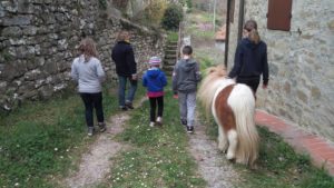 attività con il nostro pony Oliver