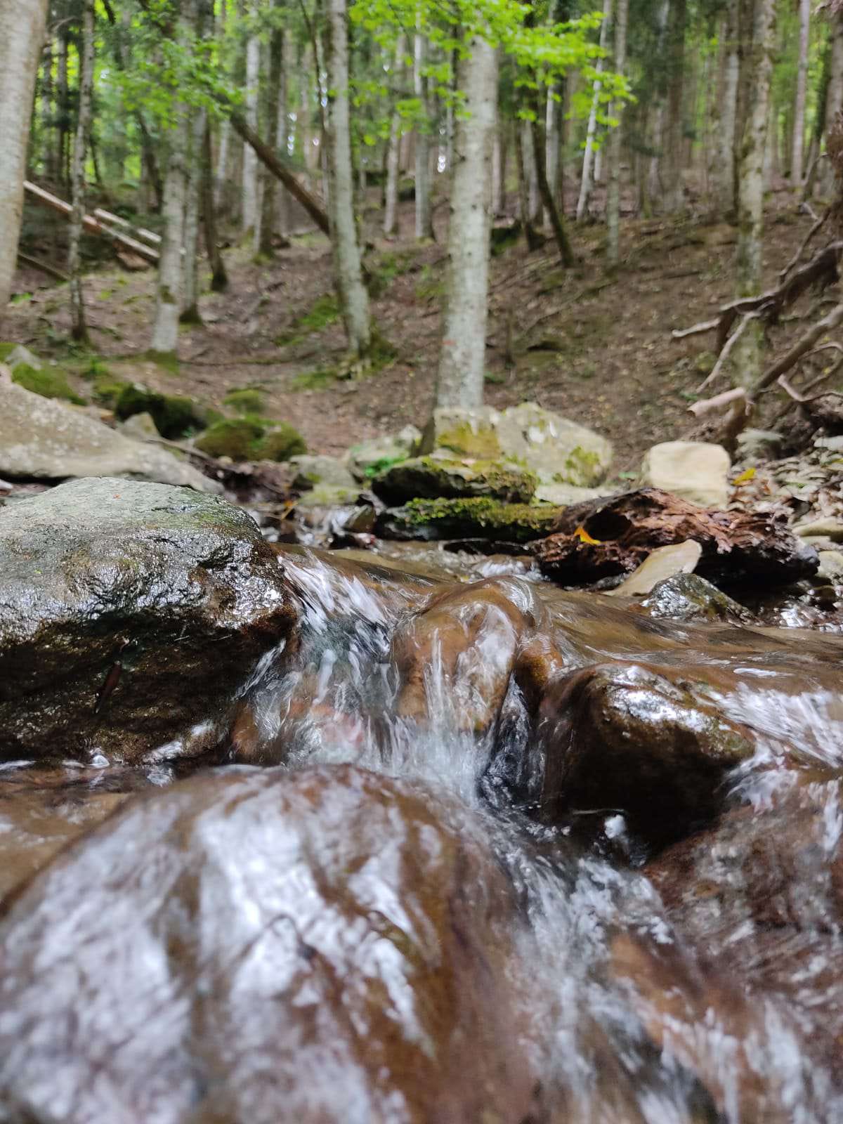 percezioni di natura